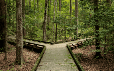Leading Without Losing Yourself